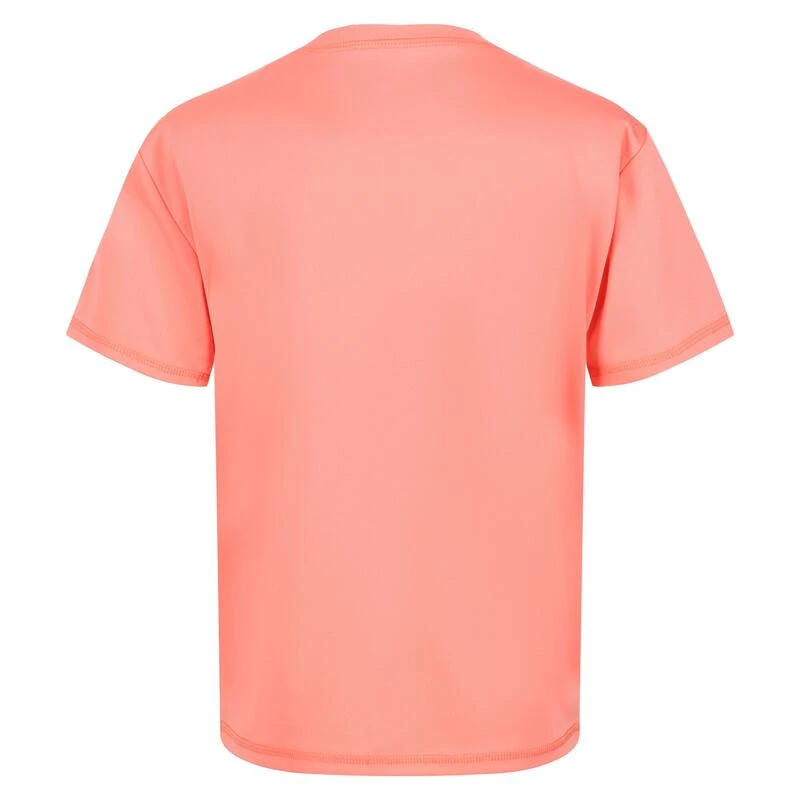 Regatta Alvarado VI T-shirt De Marche à Manches Courtes Pour Enfant - Rose 4 Regatta Alvarado VI T-shirt De Marche à Manches Courtes Pour Enfant - Rose – Image 4