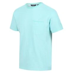 Regatta Caelum T-shirt De Marche à Manches Courtes Pour Homme - Bleu Vif
