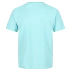 Regatta Caelum T-shirt De Marche à Manches Courtes Pour Homme - Bleu Vif -Regatta Boutique caelum t shirt de marche a manches courtes pour homme bleu vif 3