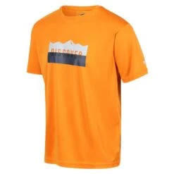 Regatta Boutique 7 Regatta Fingal VI T-shirt De Marche à Manches Courtes Pour Homme - Orange
