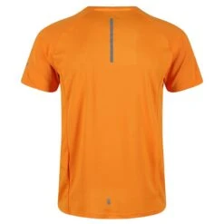 Regatta Highton Pro T-shirt De Marche à Manches Courtes Pour Homme - Orange -Regatta Boutique highton pro t shirt de marche a manches courtes pour homme orange 3