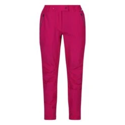 Regatta Pantalon De Randonnée HIGHTON Femme (Bleu Foncé)