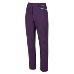 Regatta Questra III Femme Randonnée Pantalon - Violet Foncé