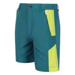 Regatta Sorcer Mountain II Short De Randonnée Pour Enfant - Vert